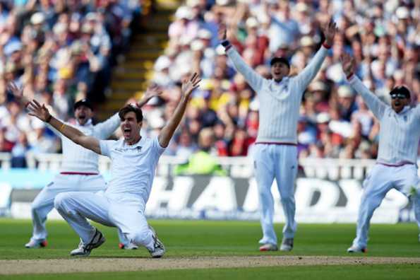 Steven Finn appeals for a wicket.