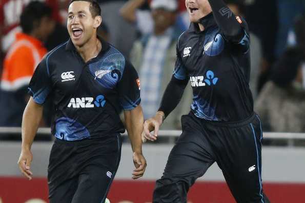Ross Taylor and Martin Guptill (R) celebrate Guptill catching out Ravichandran Ashwin